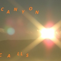 // Canyon Calls