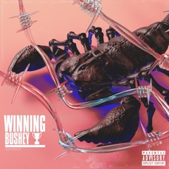 Winning (Prod. josh grant)