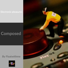 Electronic Pleasures