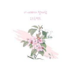 오브로젝트 - 너 예뻐서 발매함