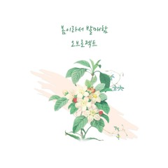 오브로젝트 - 봄이라서 발매함