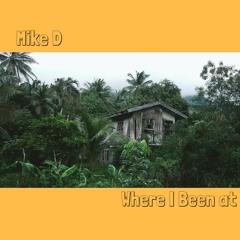 Mike D - Where I Been At