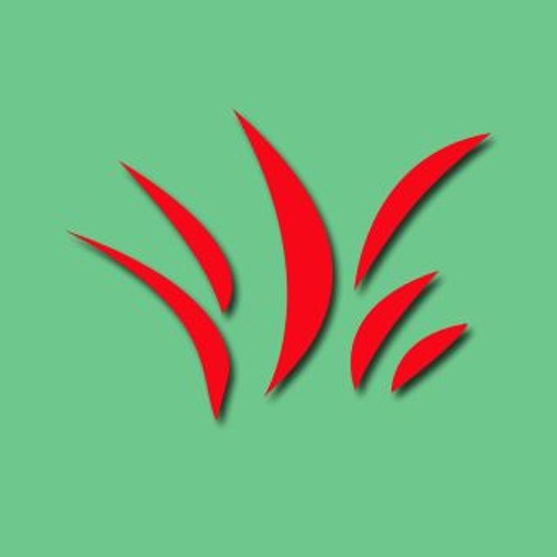 Senin İçin Değer - Koray Avcı