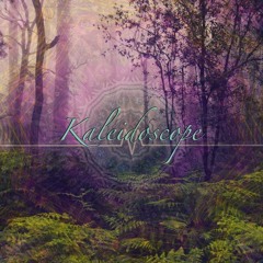 Forest Floor