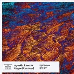 FULL PREMIERE: Agustin Basulto - Tercer Desliz (Adam Husa Remix) [Sound Avenue]