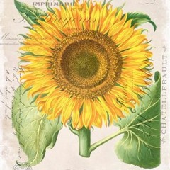 Solis