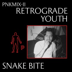 PNKMIX-11 | Retrograde Youth - Snake Bite