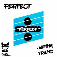 Ed Sheeran - Perfect (Johnny Friend X GuRi Remix)