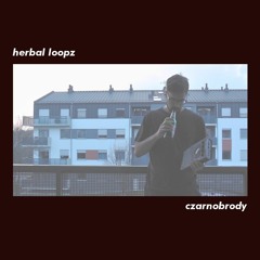 herbal loopz \\ boombap beattape