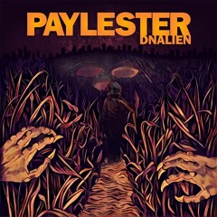 The Watchers - Paylester - DNAlien 2018