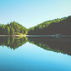 bliss.