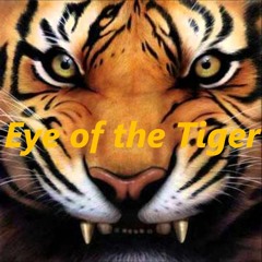 Eye Of A Tiger Freestyle (Prod. By Young Devante)