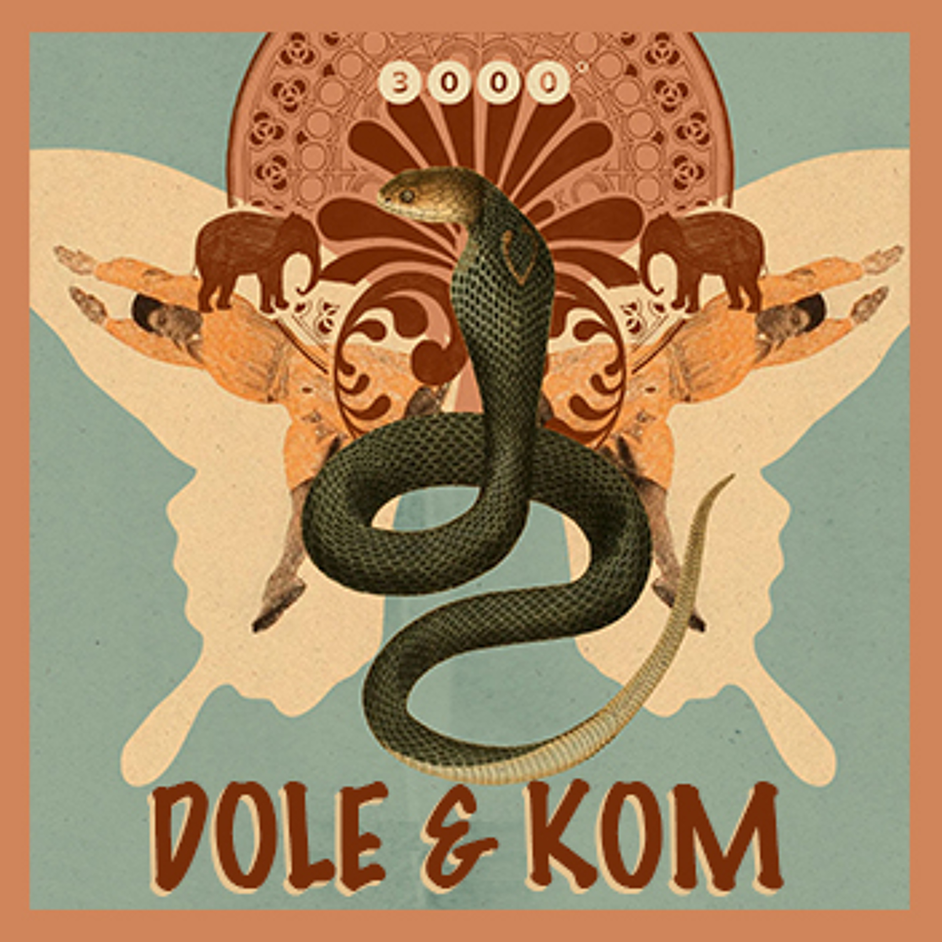Dole & Kom