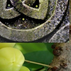 GBOOI- ANGEL HUNT & LOU VENTURINI (snippets)