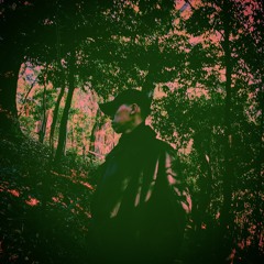Z.R.I