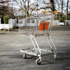 Shopping Spree Prod. Bricks On Da Beat