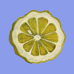 #1: limon striatus vulgatior