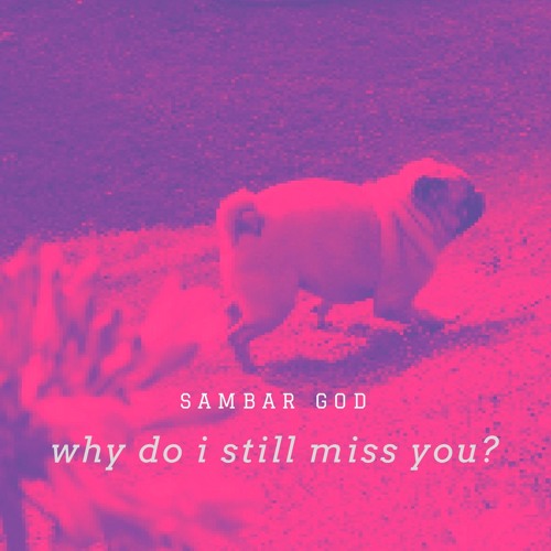 why do i still miss you?