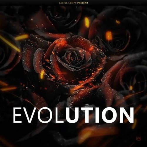 Evolution Audio Demo