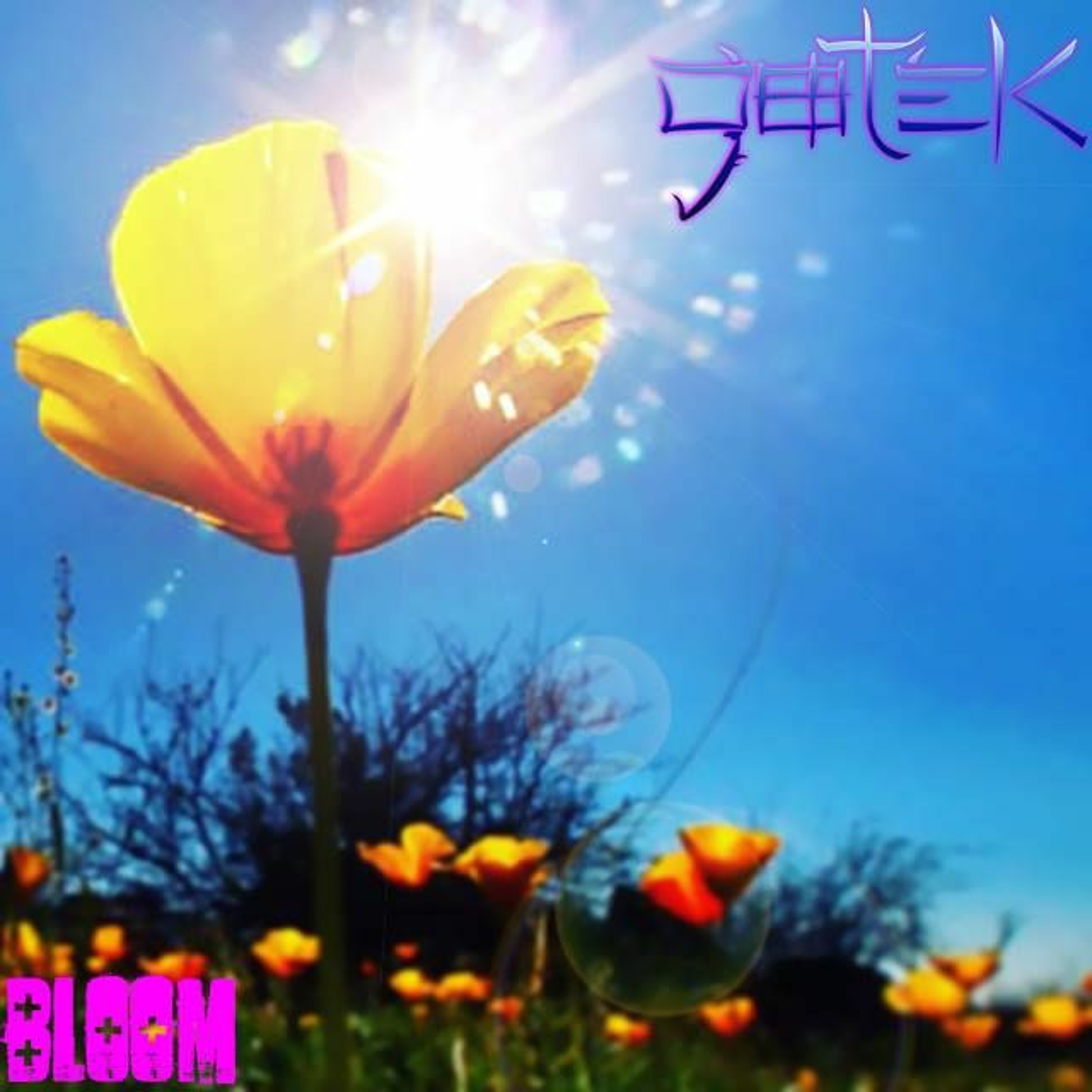 DJ Gotek