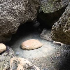 Cueva Del Indio, En Arecibo, Puerto Rico Marzo 2018