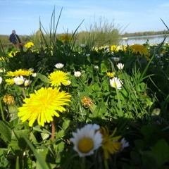 Alacampagne