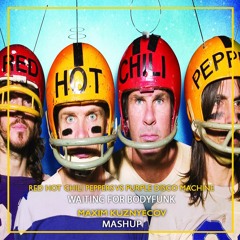 Red Hot Chili Peppers vs Purple Disco Machine - Waiting For Body Funk (Maxim Kuznyecov Mashup)
