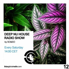 Ibiza Global Radio - Deep Nu House by SO&SO Episode 012
