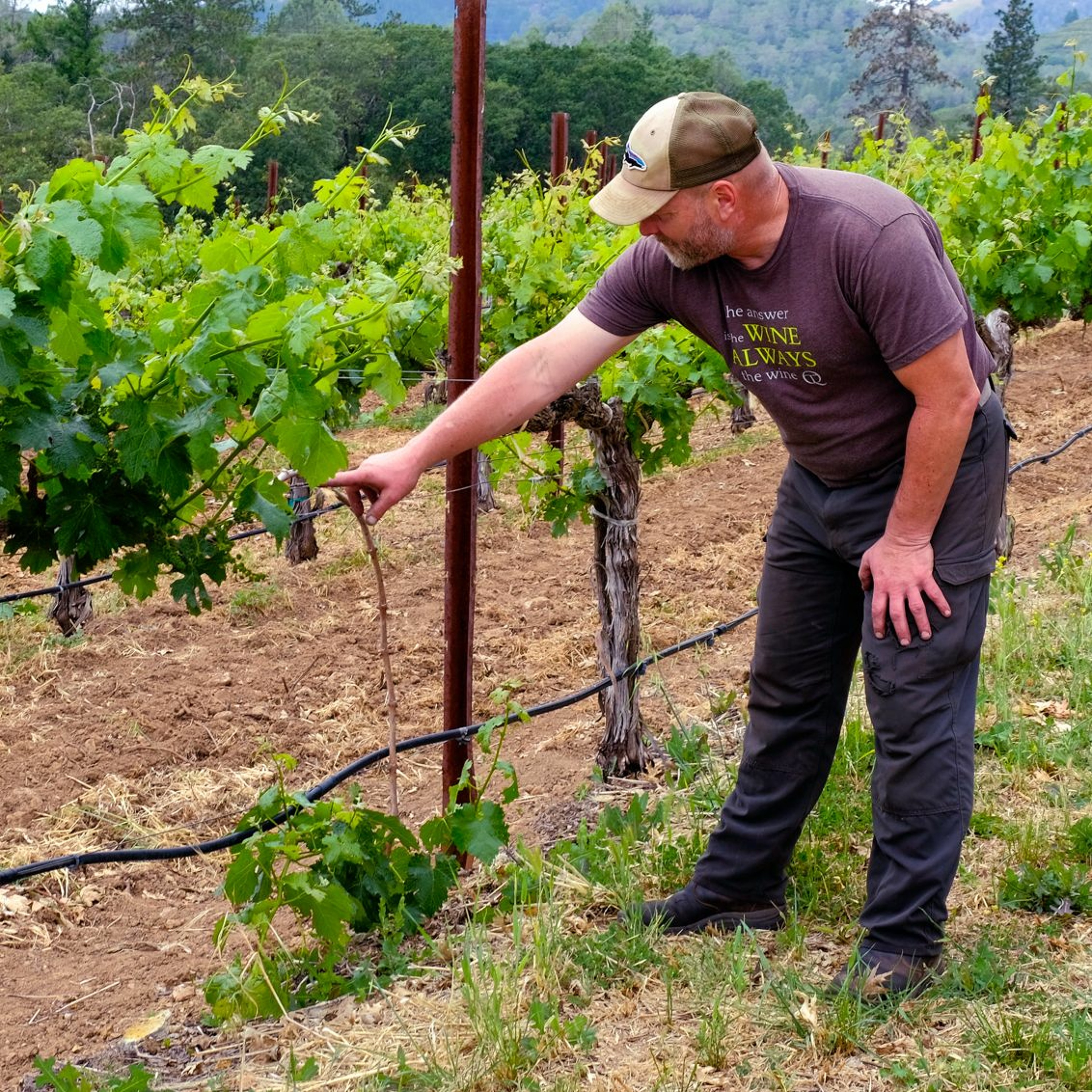 Wine Podcast: The Honest Pour with John Lenart