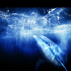 Ecco the Dolphin: Defender of the Future - 04 Perils of the Coral Reef - Main