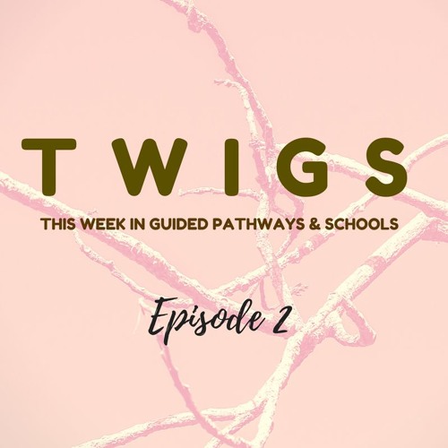 This Week in Guided Pathways & Schools (TWIGS) - Episode 2 - 04.18.2018