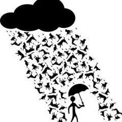 Rain Check$ - 3100dlouieee - (Prod. B Millz)