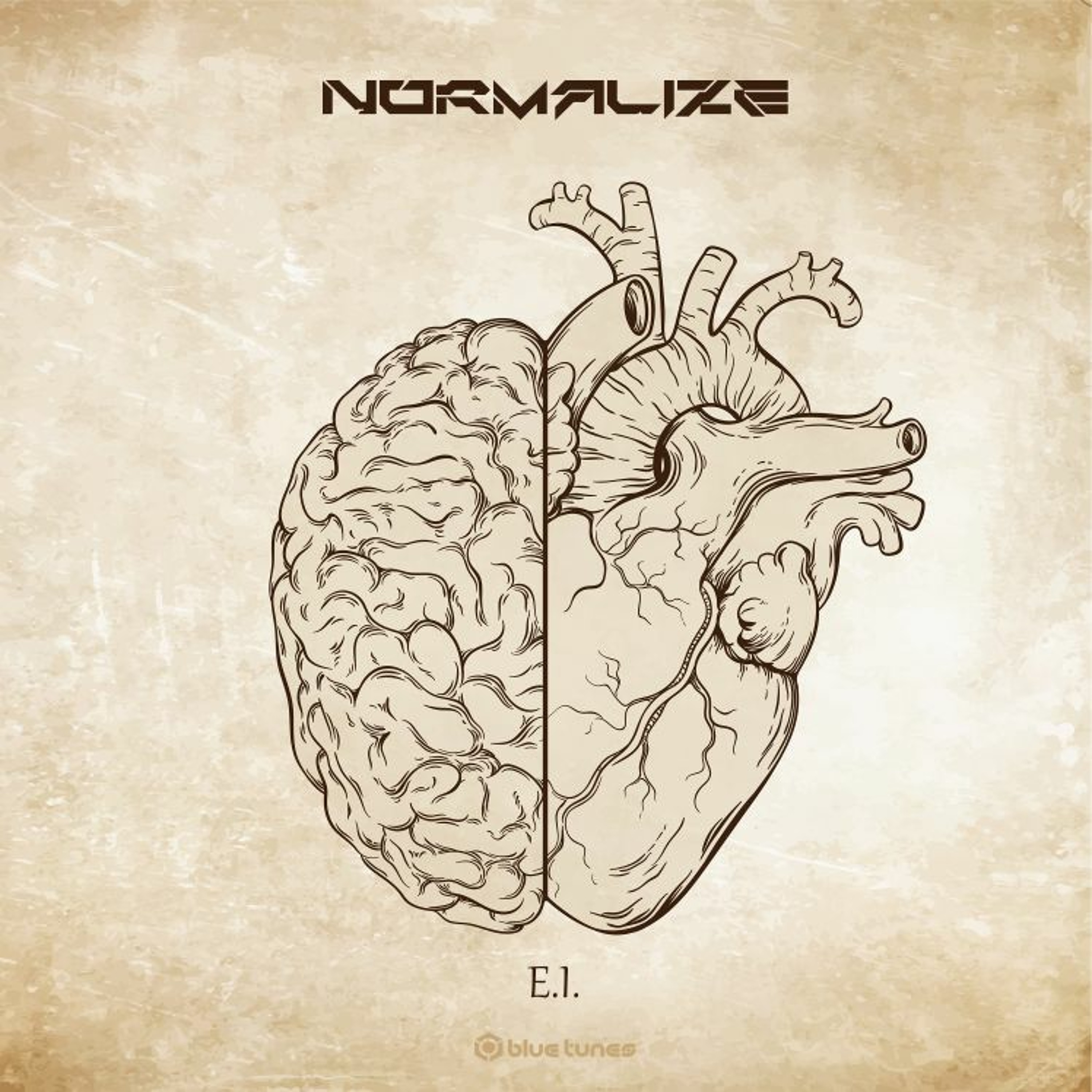 Normalize - Alpha State | 𝙎𝙥𝙤𝙩𝙞𝙛𝙮 𝙇𝙞𝙣𝙠 𝘽𝙚𝙡𝙤𝙬 episode artwork