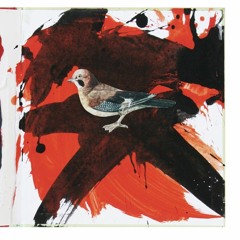 Drew :) Summer Session