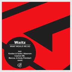 Waitz -What Would We Do (Caamal Am Remix) SNIPPET