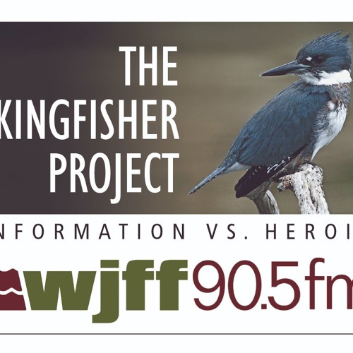 KingfisherProject-EpisodeX-GeorgesStory-041718