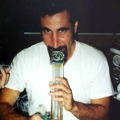 serj tankian kissed my wife