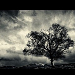 On The Evening Train - Jeremy Cassella