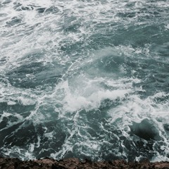 From the Belly of a Whale