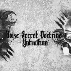 NSD - Yntroitum