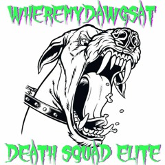 DSE//WHEREMYDAWGSAT(prod.@SPOOKYMANELACROW)