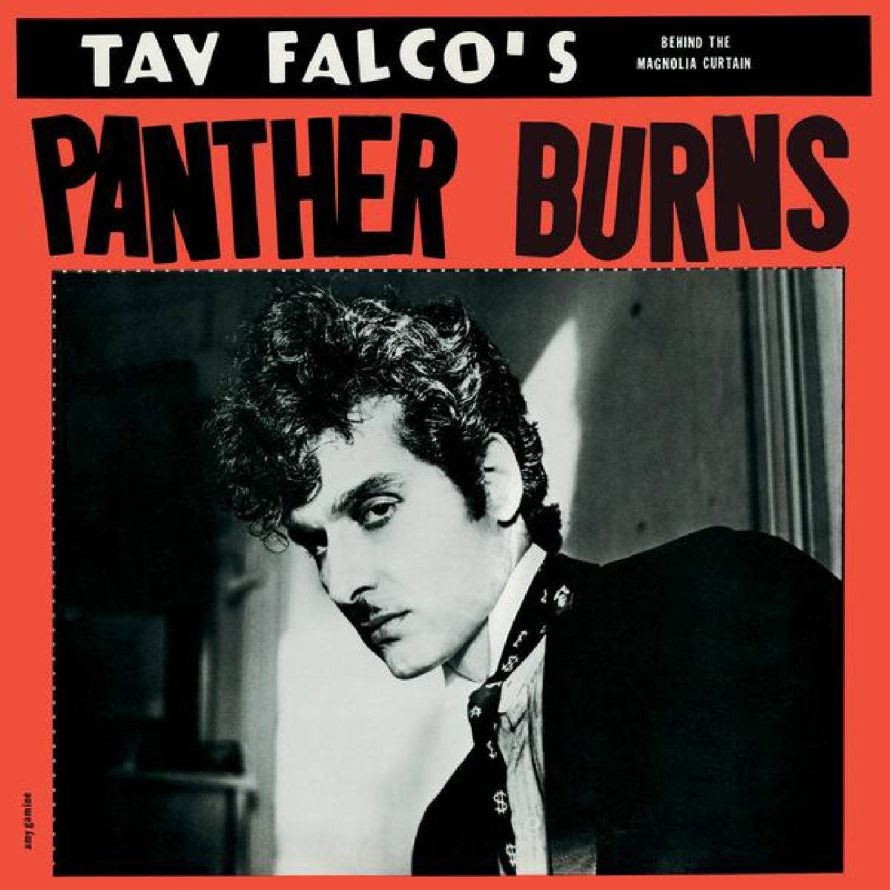 Stereo Embers The Podcast 0022: Tav Falco (Tav Falco's Panther Burns) episode artwork
