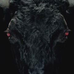 Yng Wrld & Rarri Ran & Jinx - Rodeo