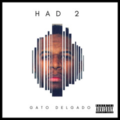 Gato Delgado - HAD 2