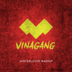 RICHCHOI X RAW HARMONY - VINAGANG (WINTERLOVER MASHUP) [Preview]