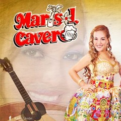 No LLama - Marisol Cavero