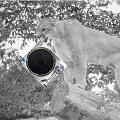 Hello Adele  DnB Bootleg by PumaDnB