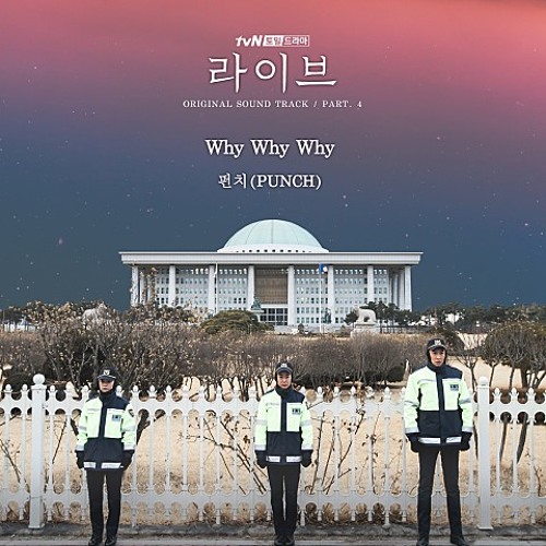 Why Why Why - 펀치
