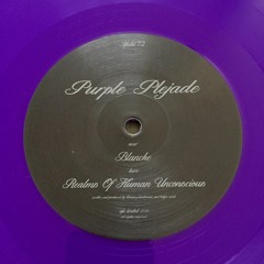 Purple Plejade (Thomas P. Heckmann & Holger Wick)