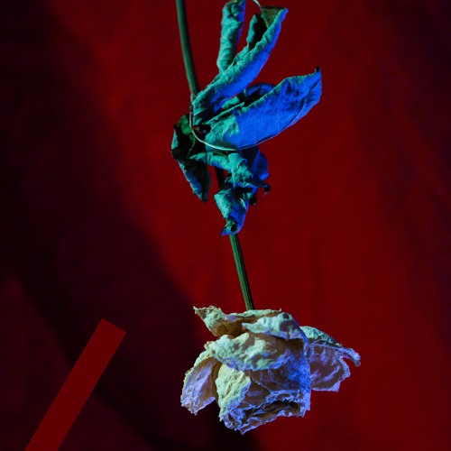 LOVER 420 (feat. Yeule)